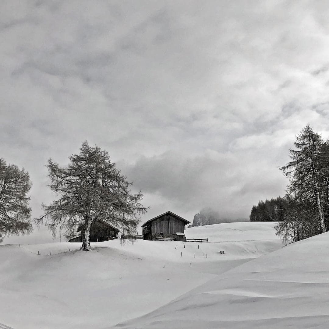 Alpine hut on the Seiser Alm