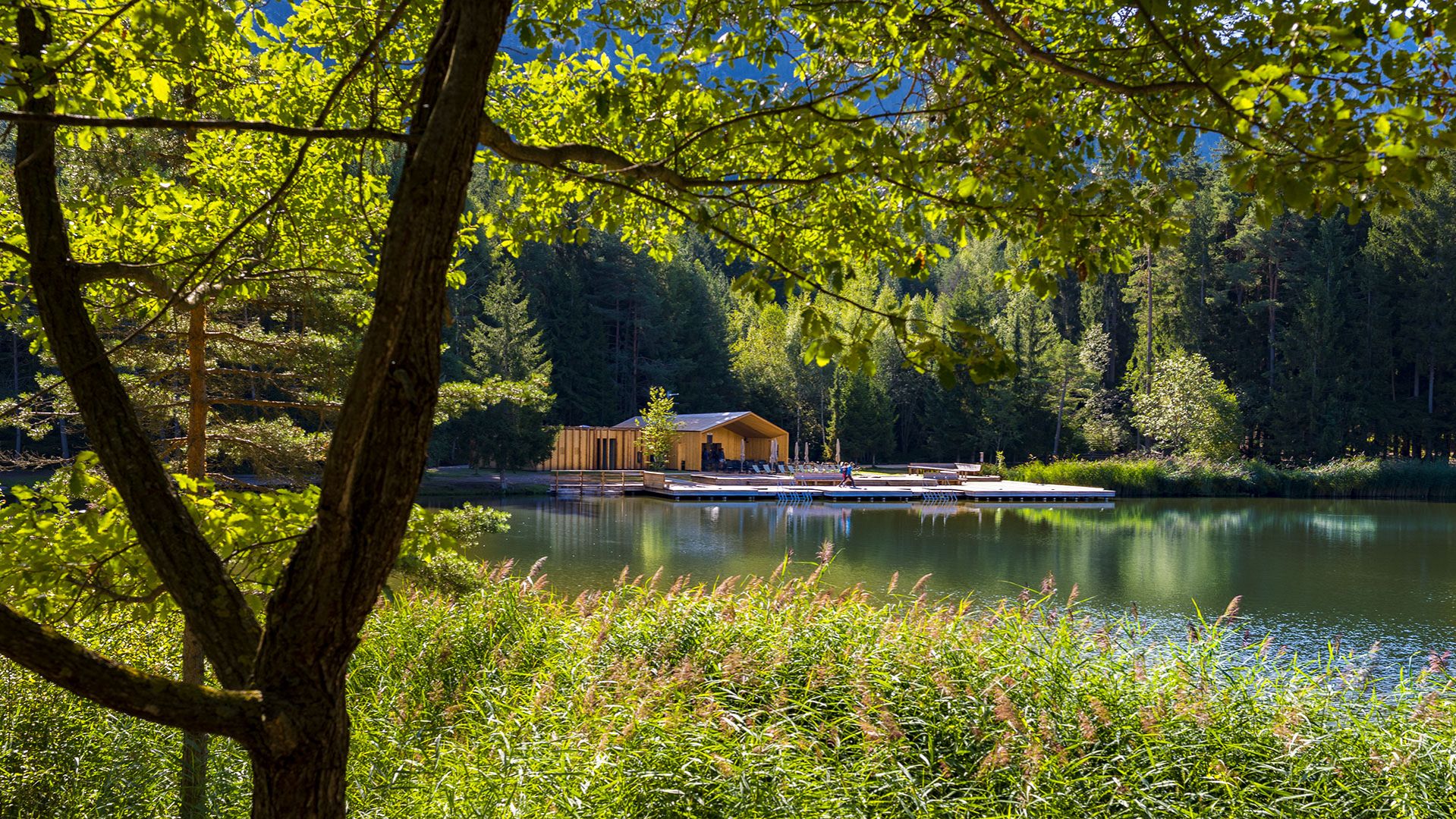 Völser Weiher-Fichtenheim